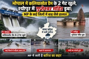 कलियासोत डैम गेट खुले